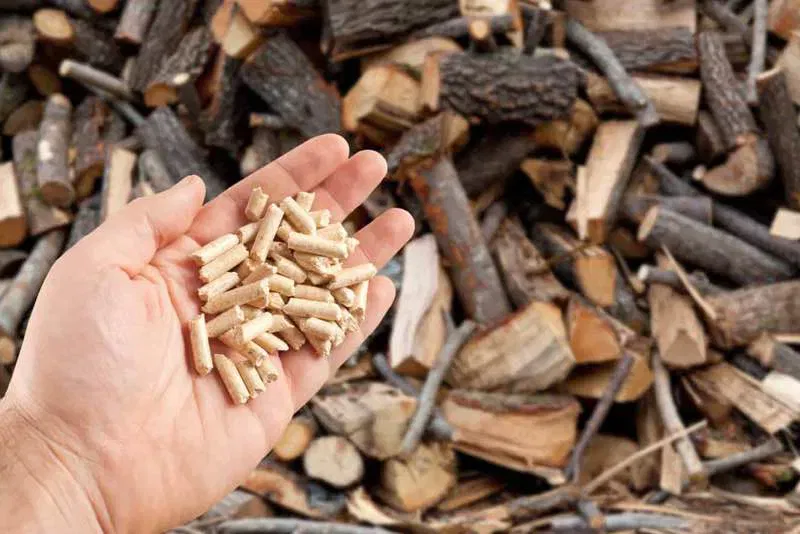 07085539a1e404910b66918e783935d2 - billede 10