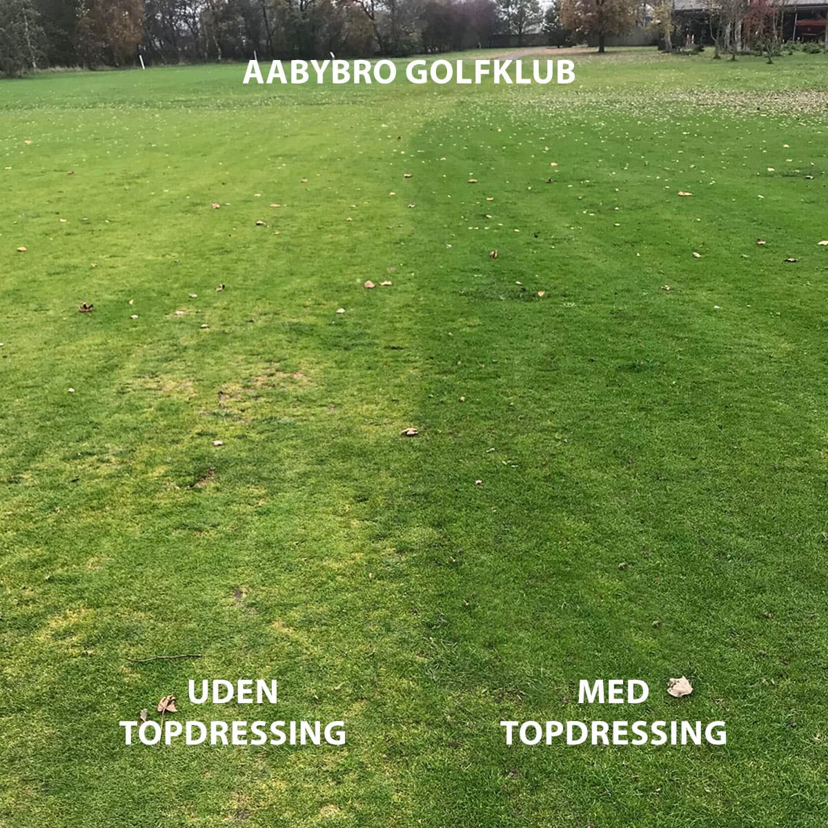Græsbanen i Aabybro Golfklub uden og med topdressing