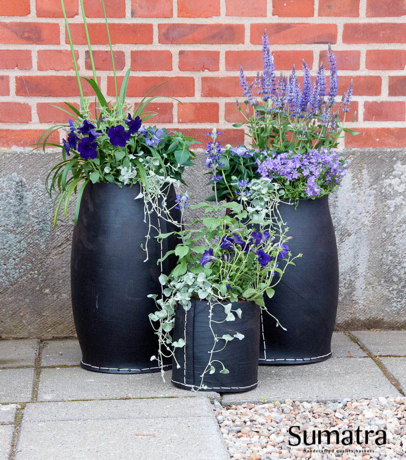 Tre sorte Sumatra urtepotter med lilla blomster