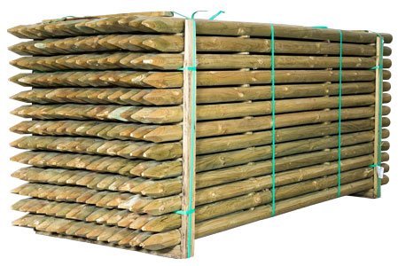 Bundt med spidse trykimprægnerede træpæle