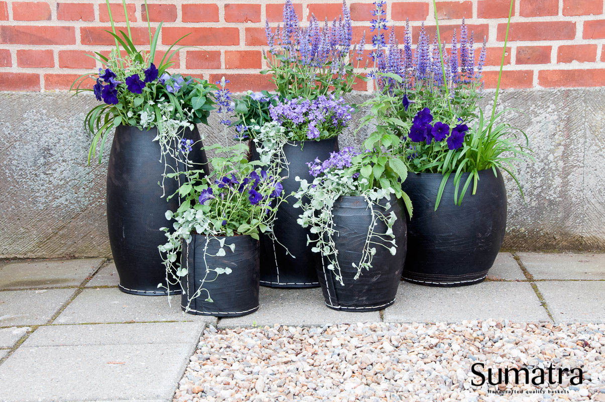 Udendørs sorte krukker med lilla blomster foran murvæg