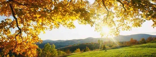 Billede 22 - eacbe7669a710d1842489bfac081f432