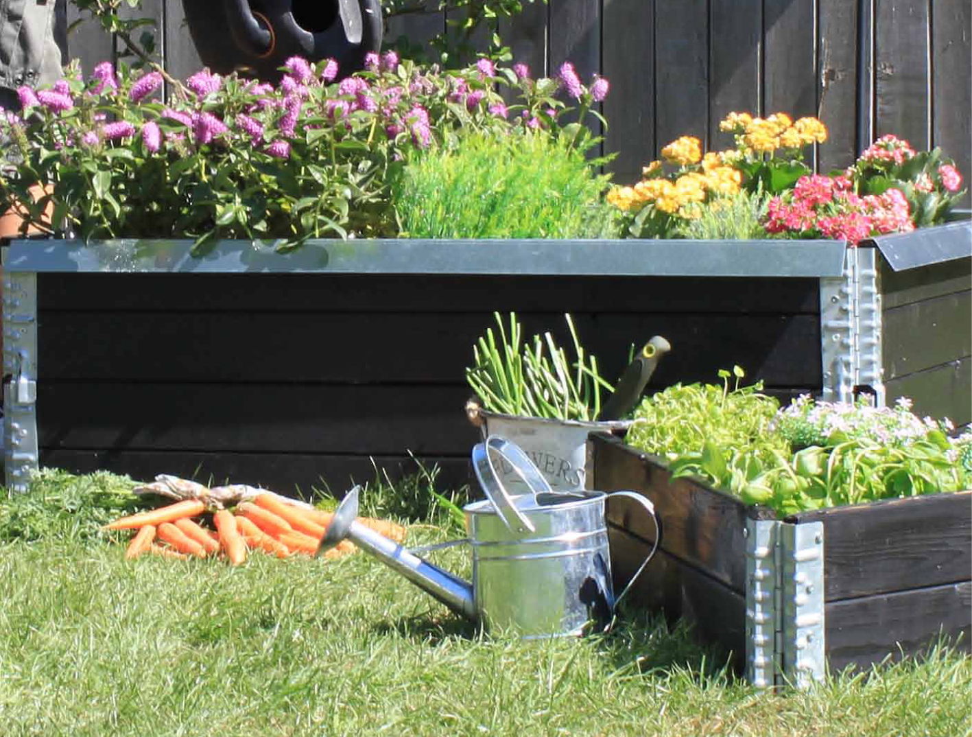 Højbede med blomster, krydderurter og friske gulerødder